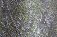 Ballimore fibreglass roof work